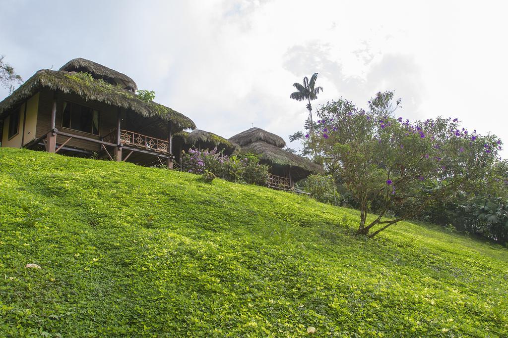 Arasha Resort & Spa Pedro Vicente Maldonado Exterior photo