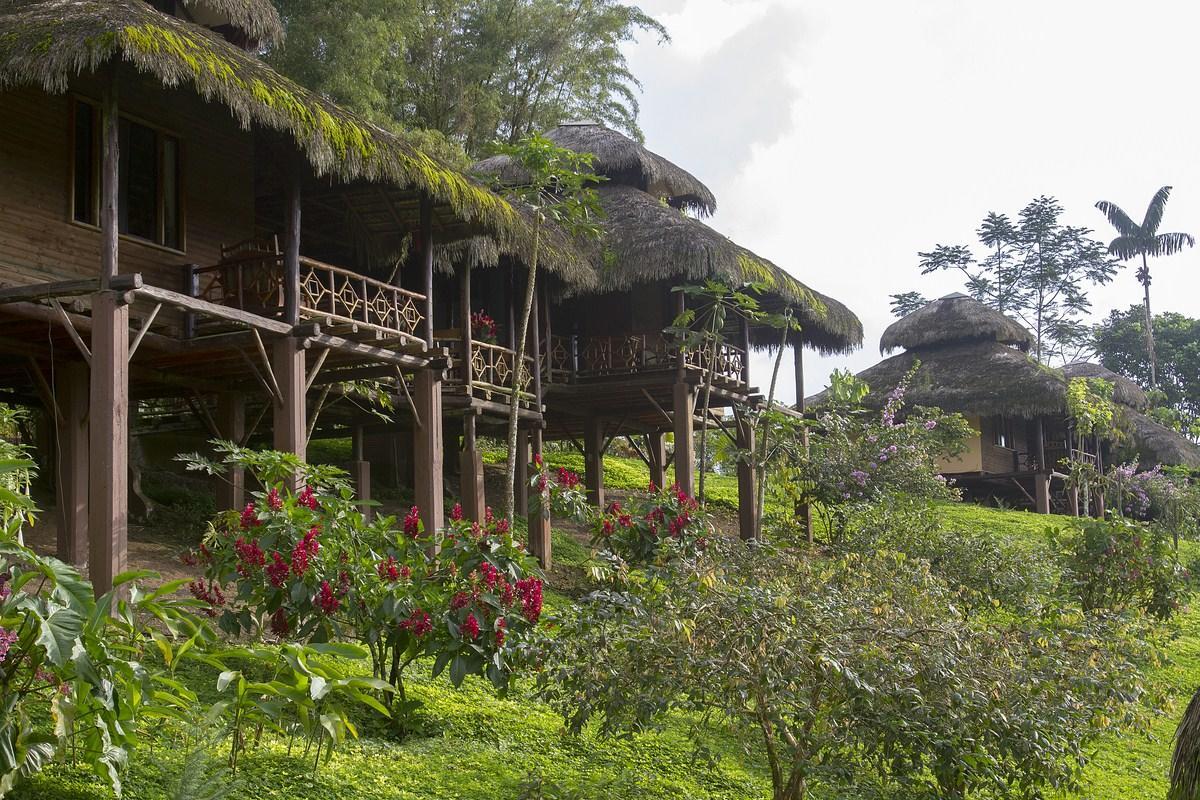 Arasha Resort & Spa Pedro Vicente Maldonado Exterior photo